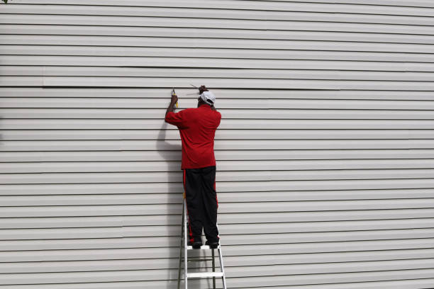 Best Fascia and Soffit Installation  in Meron Park, CA
