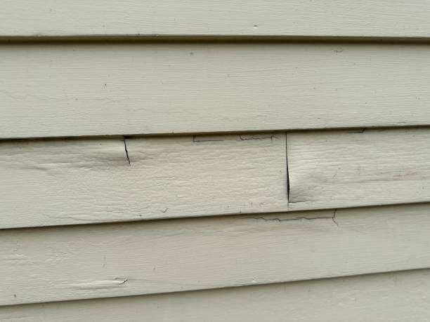 Best Stone Veneer Siding  in Meron Park, CA